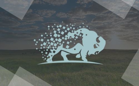 buffalo logo over grass background